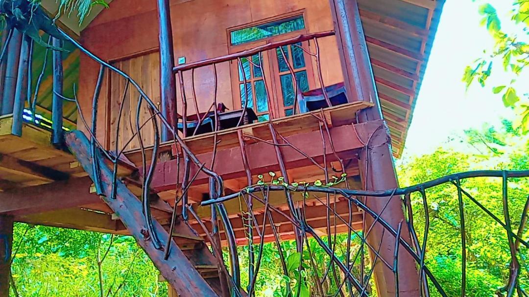 Sigiri Aliya Tree House Ξενοδοχείο Σιγκιρίγια Εξωτερικό φωτογραφία
