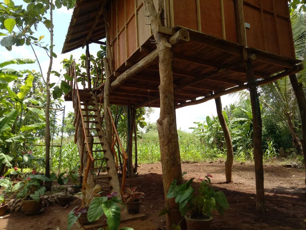Sigiri Aliya Tree House Ξενοδοχείο Σιγκιρίγια Εξωτερικό φωτογραφία