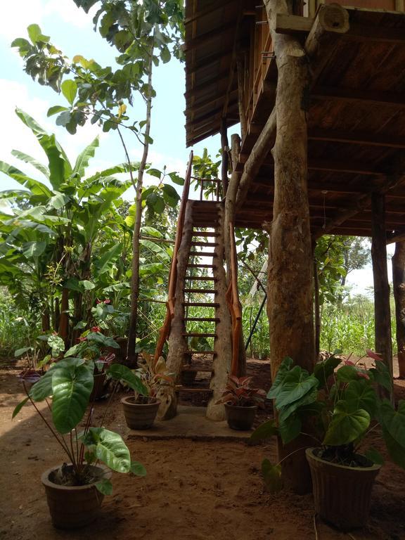 Sigiri Aliya Tree House Ξενοδοχείο Σιγκιρίγια Εξωτερικό φωτογραφία