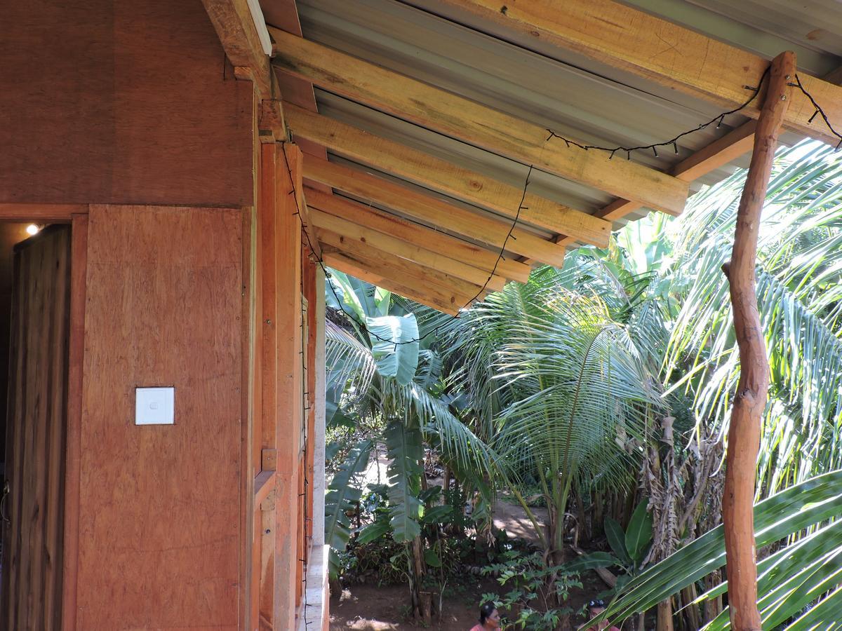Sigiri Aliya Tree House Ξενοδοχείο Σιγκιρίγια Εξωτερικό φωτογραφία