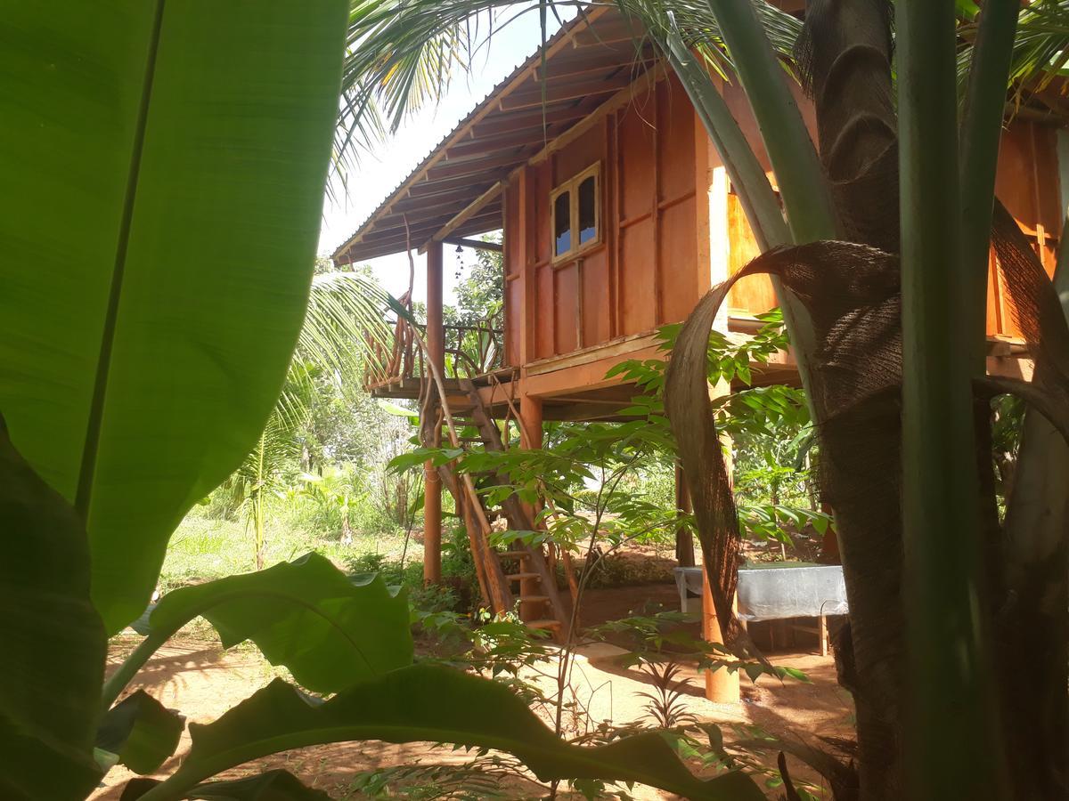 Sigiri Aliya Tree House Ξενοδοχείο Σιγκιρίγια Εξωτερικό φωτογραφία